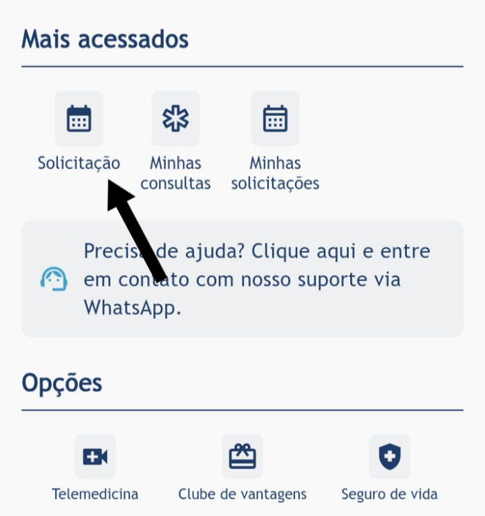 Menu Novo Agendamento
